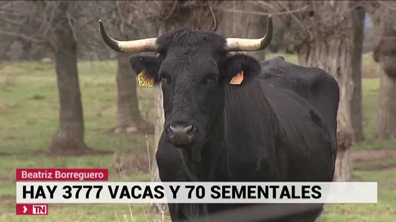 Telenoticias Fin de Semana 01.02.2020