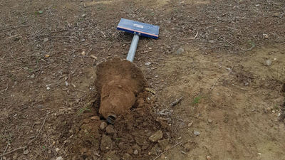 El vandalismo acaba con el mobiliario de la laguna El Raso de Velilla