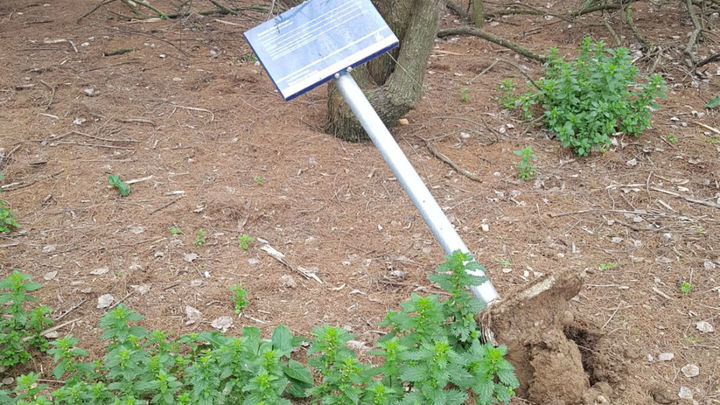 Vandalismo en Velilla