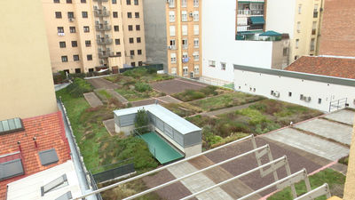 Un jardín sobre nuestras cabezas