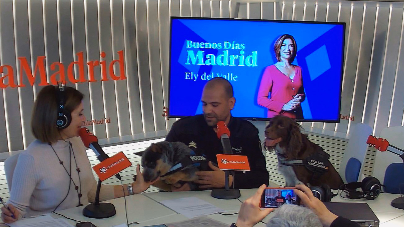 Estas son Mecha y Chola: dos perras de la unidad canina de la Policía Nacional