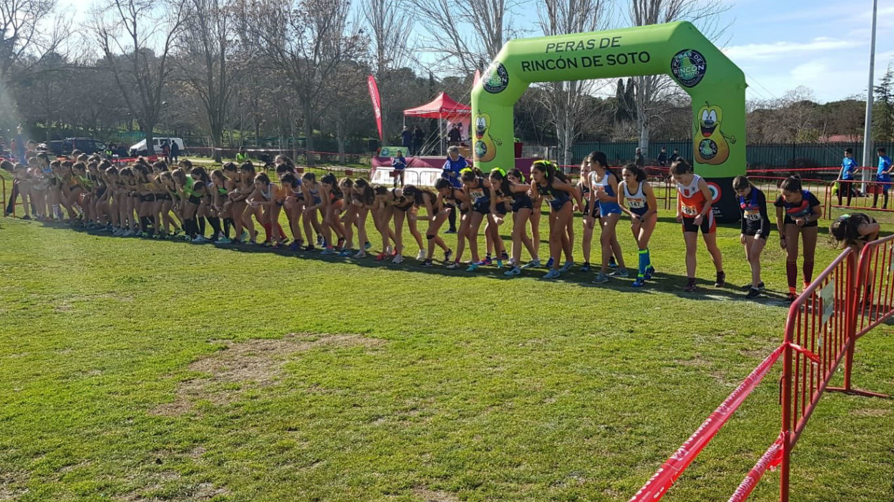 Las futuras estrellas del atletismo madrileño, en el Cross de Móstoles