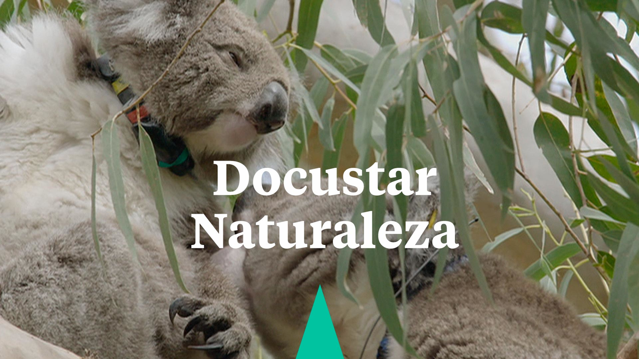 Docustar Naturaleza