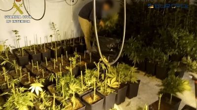 25 detenidos en un golpe contra una red internacional de tráfico de drogas