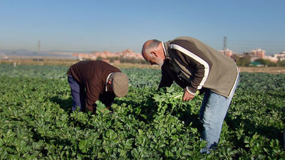 Madrid pone en marcha un plan de choque para ayudar a agricultores y ganaderos