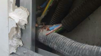 Los okupas de Torres de la Alameda, a quienes se les cortó la luz, vuelven a engancharse de forma ilegal