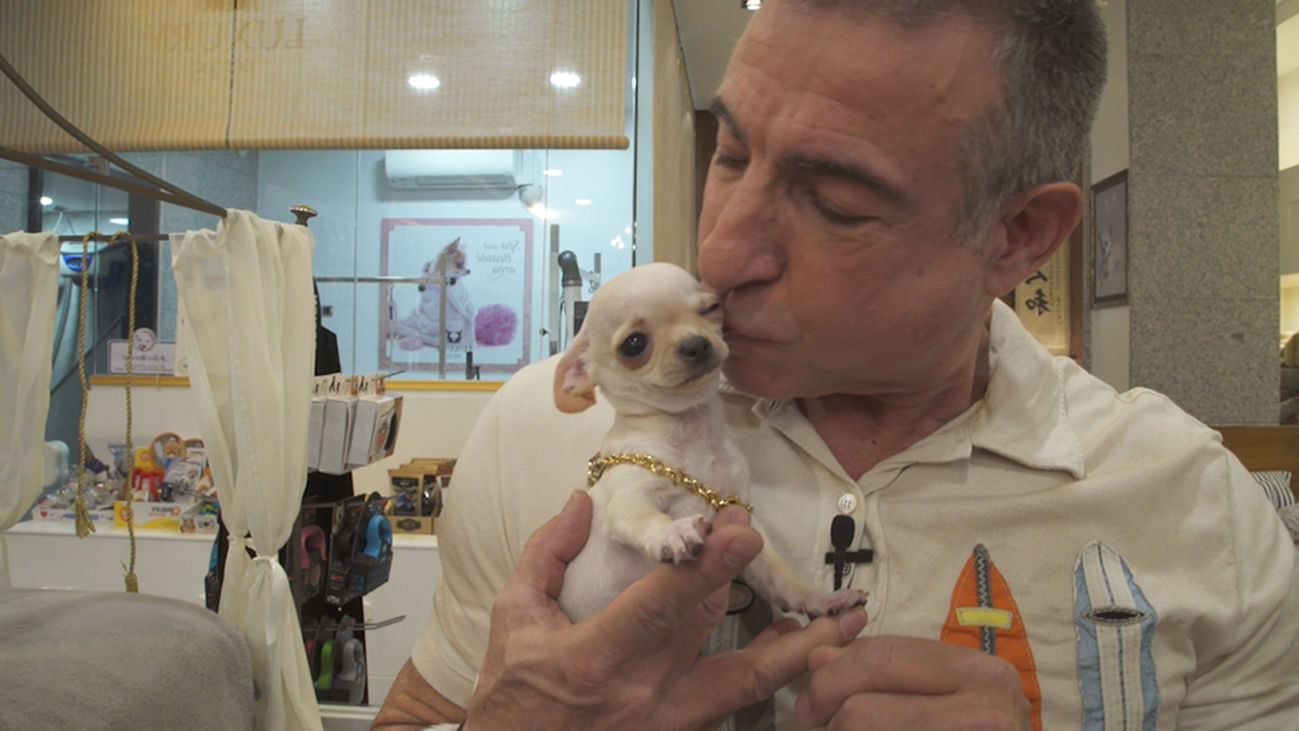 ¡Vaya lujo de mascota!