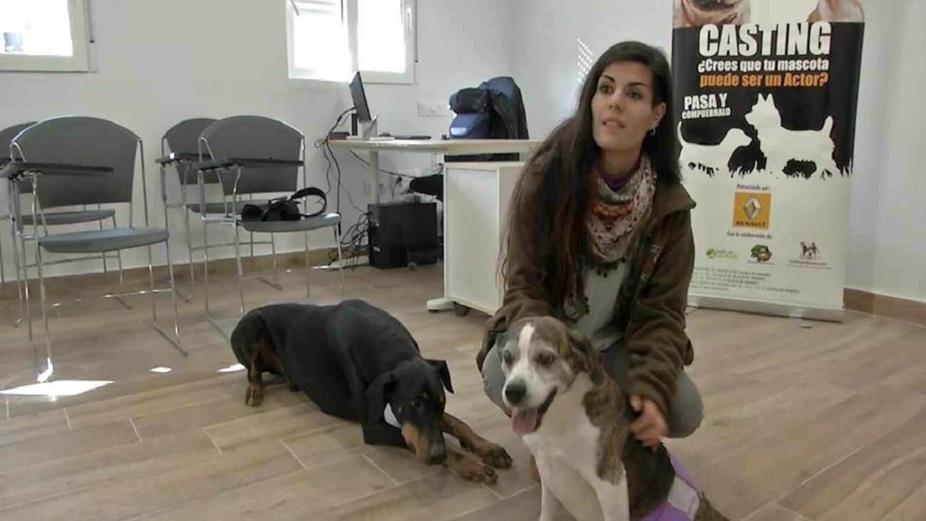 Las mascotas más famosas también hacen casting
