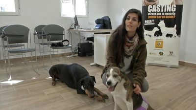 Las mascotas más famosas también hacen casting