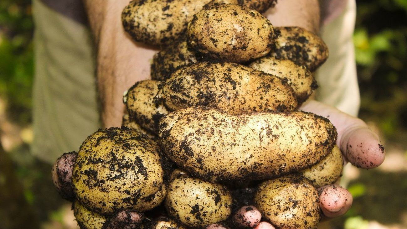 El Gobierno y las comunidades se coordinarán para mejorar los precios del campo