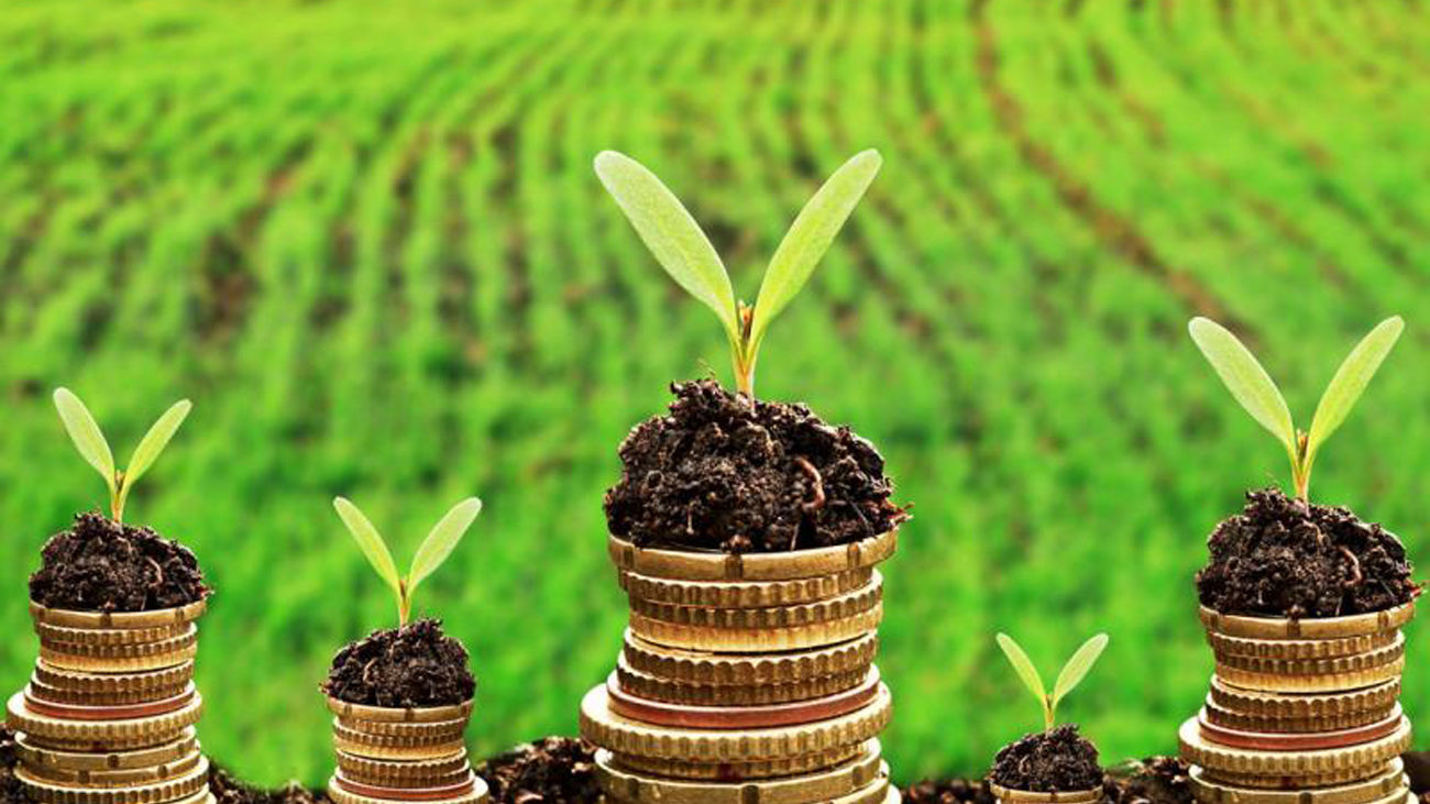 España, noveno país del mundo que más PIB perdería por destruir la naturaleza