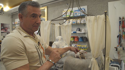 Mi cámara y yo: El gran negocio de las mascotas