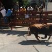 Galapagar preguntará a los vecinos si quieren acabar con las subvenciones a los toros