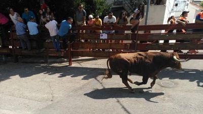 Galapagar preguntará a los vecinos si quieren acabar con las subvenciones a los toros