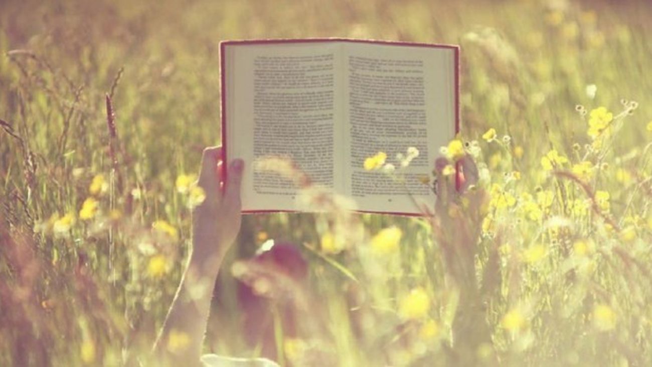 Novelas con el campo como telón de fondo