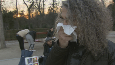 Ocho millones de españoles son alérgicos al polen