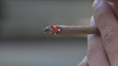 Atracones de porros, riesgo para la salud de los jóvenes consumidores