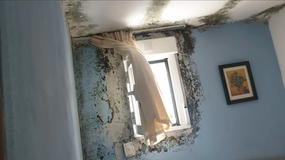 Enferma por el moho en su casa alquilada de San Blas