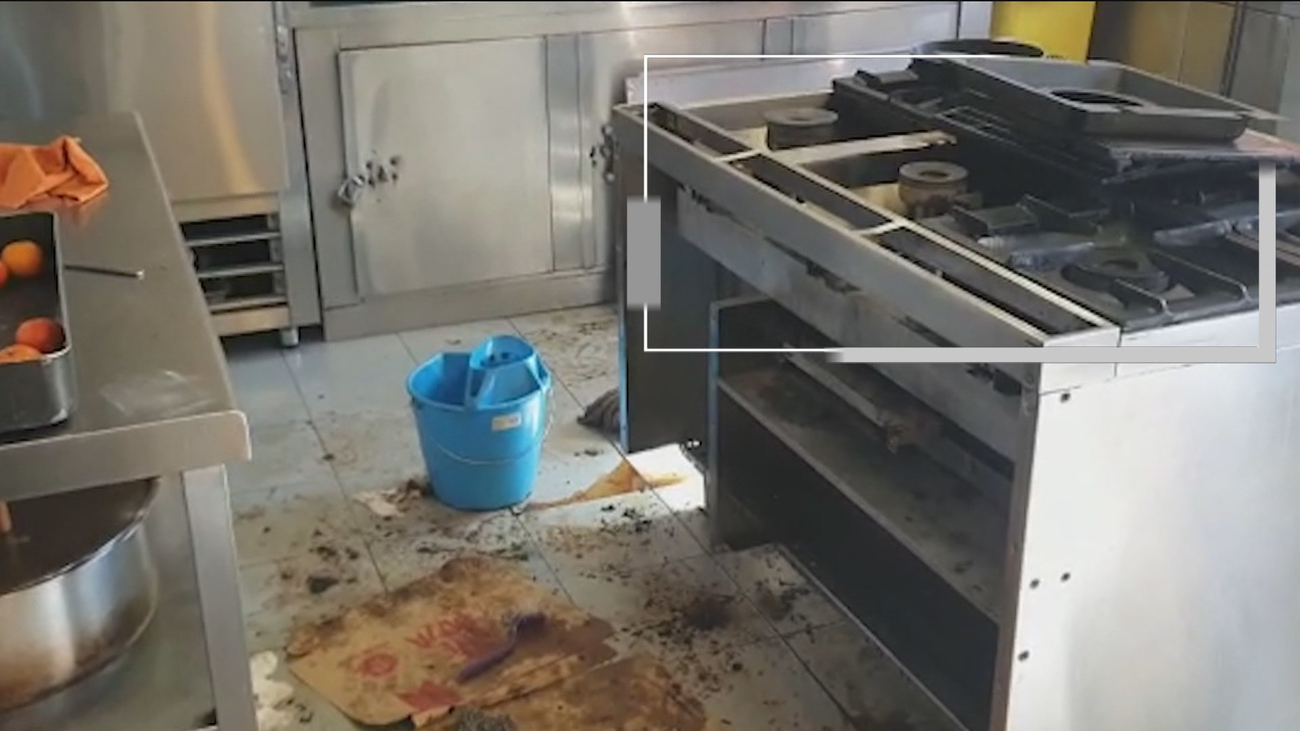 Denuncian la presencia de ratas y cucarachas en el parque de Bomberos de Collado Villalba