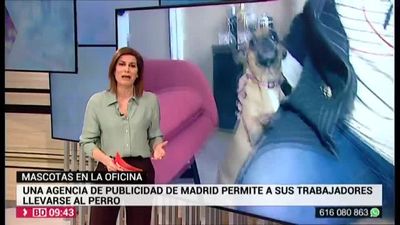 Buenos Días Madrid 20.02.2020 (9.00 - 10.30)