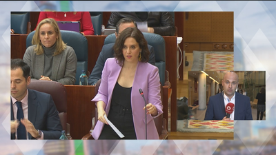 Los presupuestos y la ley LGTBI, a debate en la Asamblea de Madrid