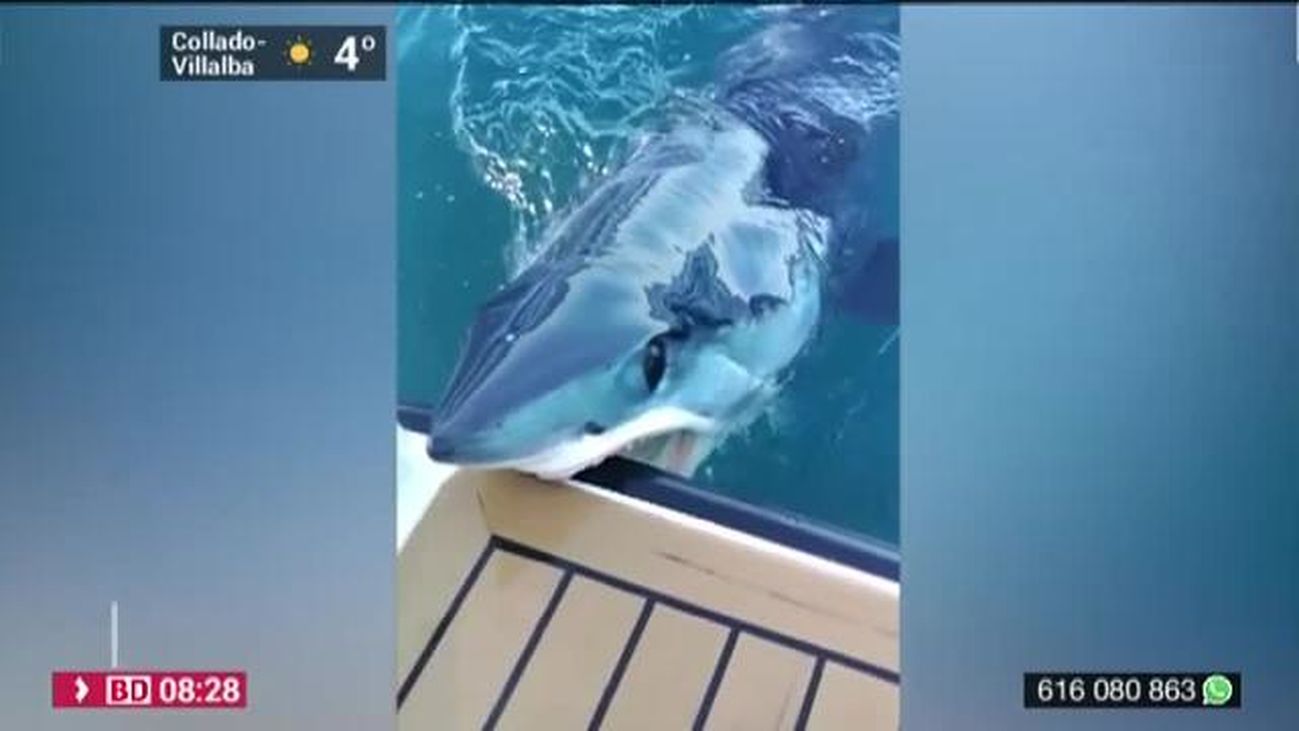 Buenos Días Madrid 21.02.2020 (8.00 - 9.00)