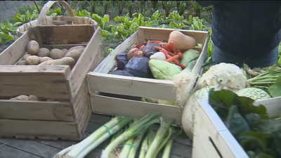 La opción rentable del agricultor de no contar con intermediarios