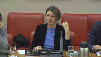 Trabajo adoptará medidas para luchar contra los falsos autónomos