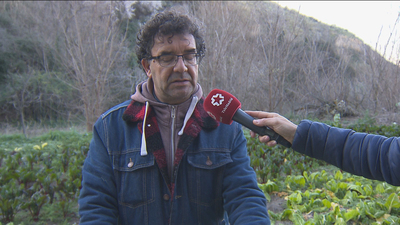 La huerta de Fuenlabrada, en peligro