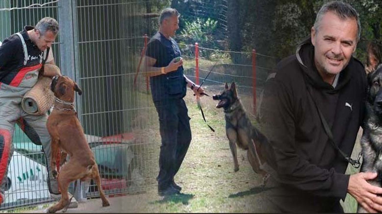 Mascotas con Nacho Sierra