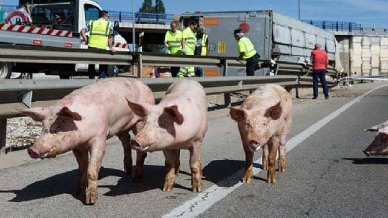 Sucesos con Mónica González