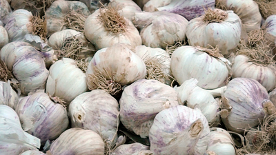 Las ventas del ajo de Chinchón se disparan por el coronavirus