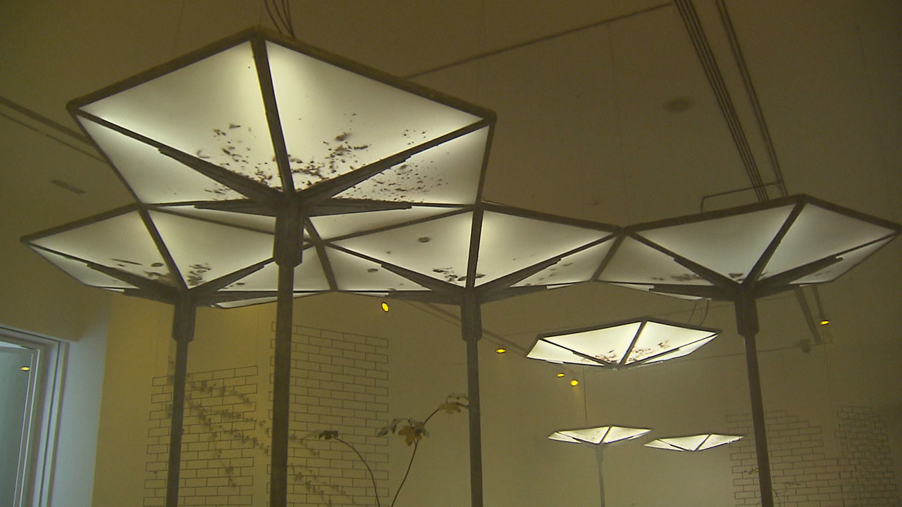 ‘El despertar’ del pabellón abandonado de los Hexágonos en una exposición de Álvaro Urbano