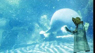 La exposición 'Moving Off the Land II' del Thyssen-Bornemisza refleja el papel "espiritual y ecológico" del océano