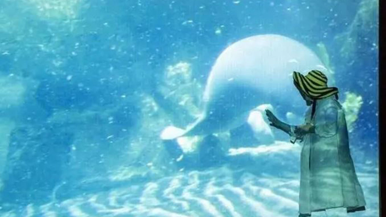 La exposición 'Moving Off the Land II' del Thyssen-Bornemisza  refleja el papel "espiritual y ecológico" del océano