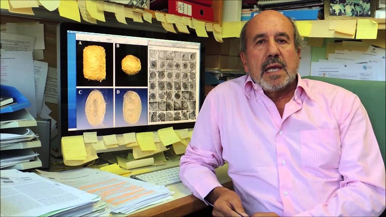 Mariano Esteban: “Es absurdo que la gente piense que con mascarillas van protegidos”