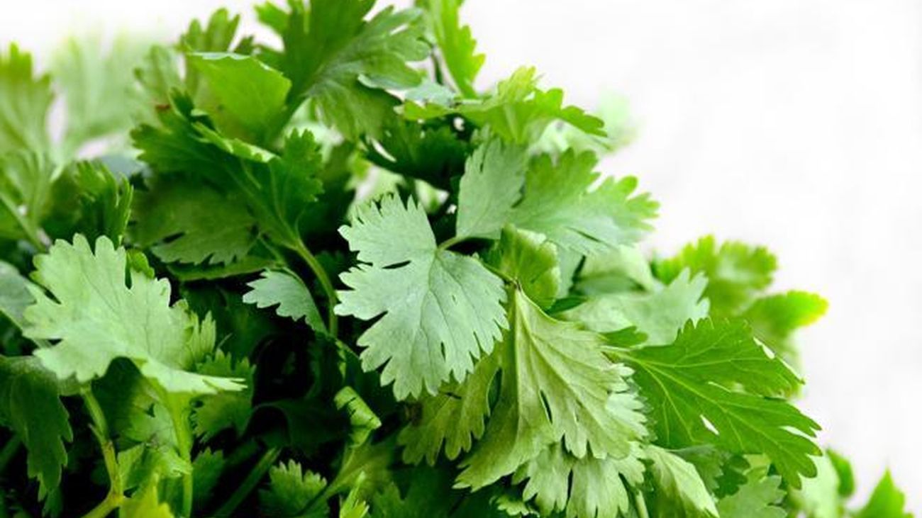 Miguel Ángel Almodóvar: 'La cilantrofobia'