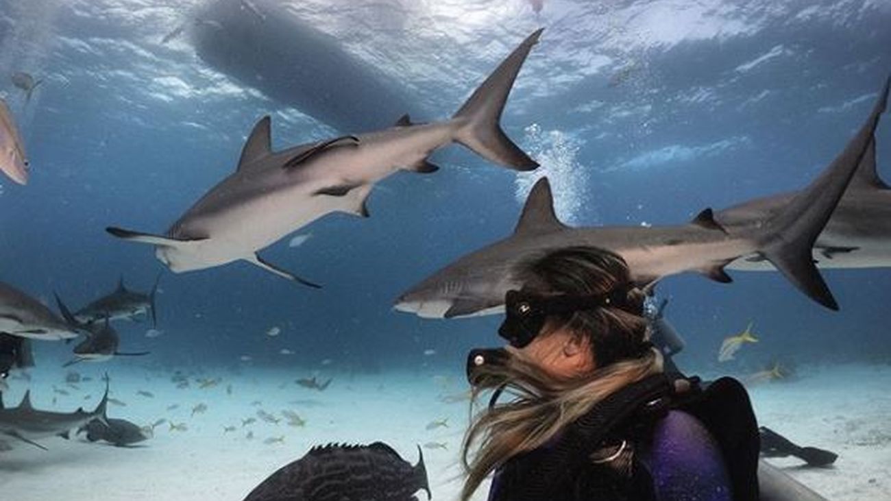 Una oceanógrafa española bucea sin jaula junto a tiburones para derribar mitos