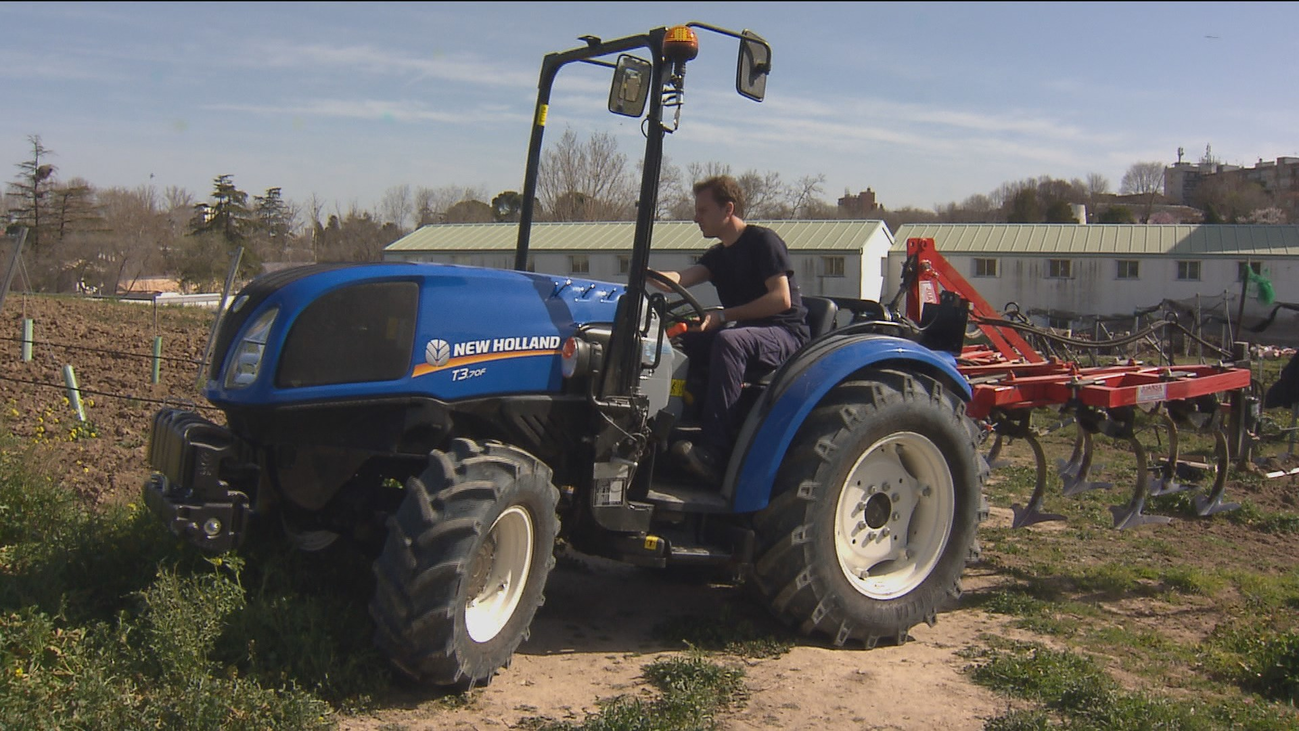 La Escuela de la Vid, más de 60 años formando vitivinicultores