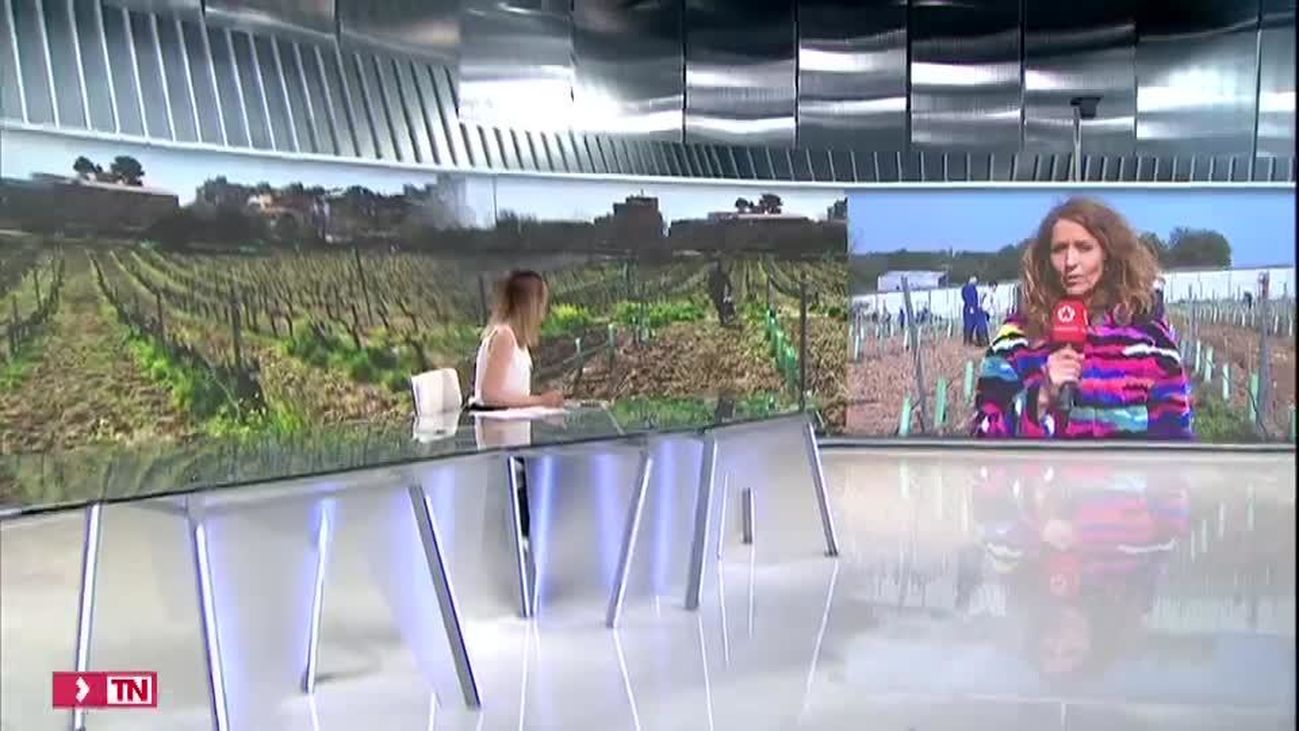 Telenoticias Fin de Semana 01.03.2020