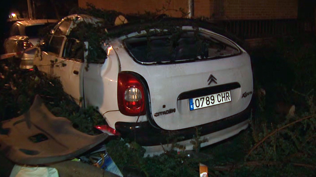Árboles arrancados,  vallas y farolas caídas... madrugada caótica por el viento en Madrid