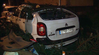 Árboles arrancados,  vallas y farolas caídas... madrugada caótica por el viento en Madrid
