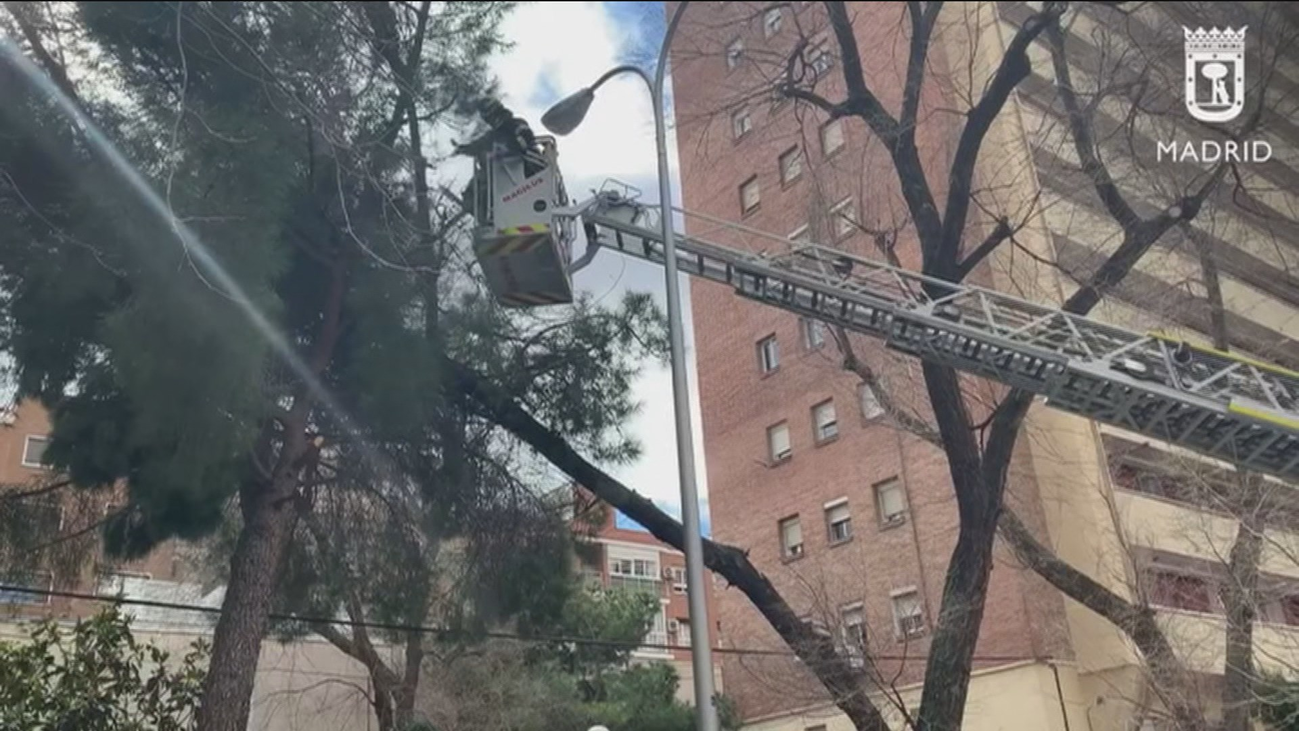 Dos heridos leves y 481 salidas de bomberos por el viento