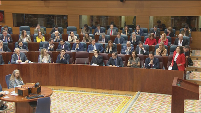 Vox se une a la izquierda y tumba en la Asamblea de Madrid el proyecto de rebajas fiscales de PP y Ciudadanos