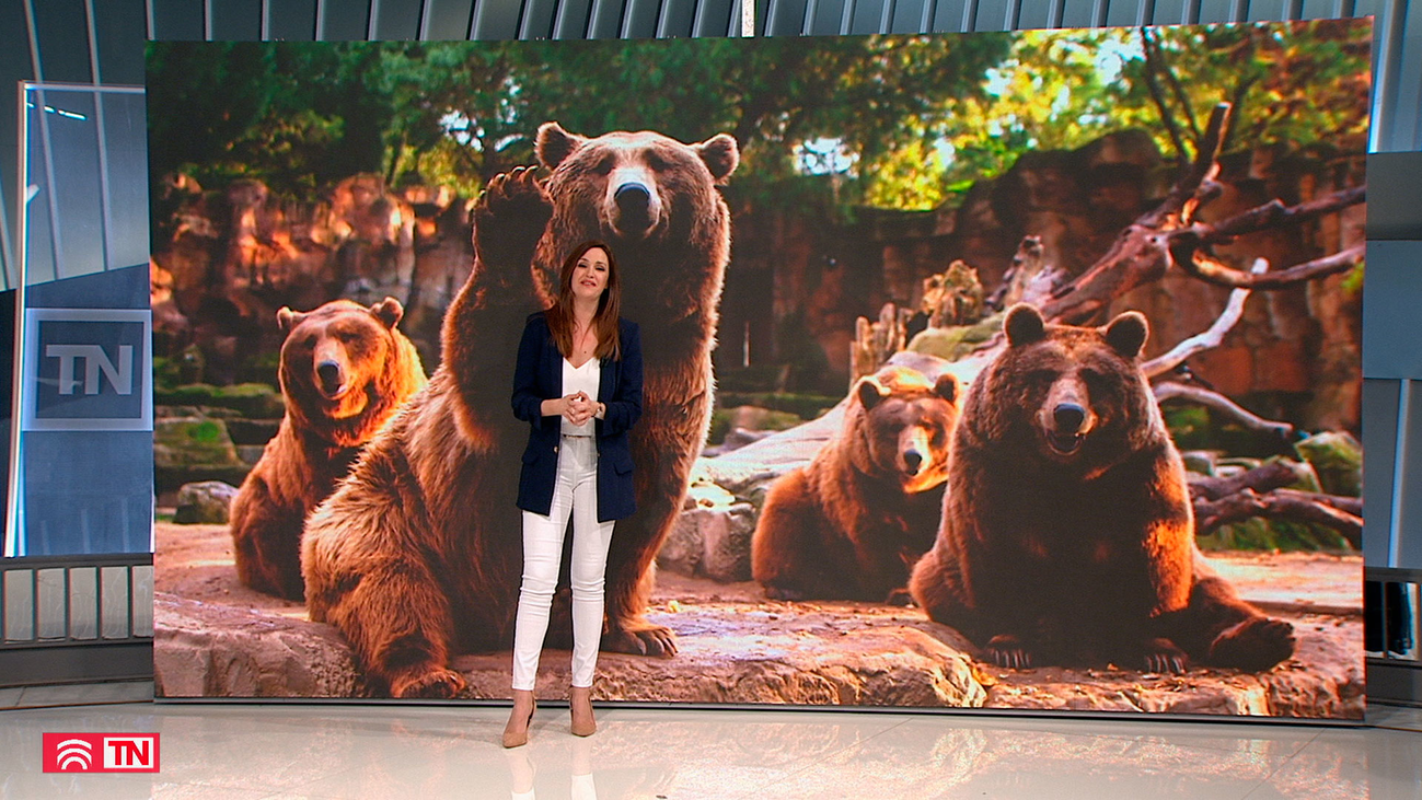 El despertador ha sonado antes