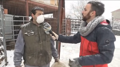 ¿Cómo está afectando el coronavirus a los ganaderos madrileños?