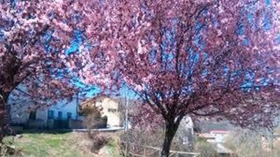 El invierno se despide este jueves con tiempo primaveral y más de 20 grados en el oeste