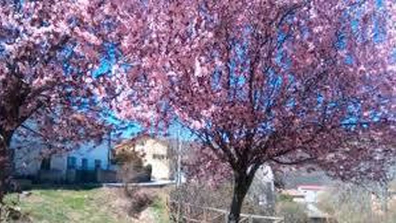 El invierno se despide este jueves con tiempo primaveral y más de 20 grados en el oeste