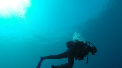 Licencias de buceo en Madrid