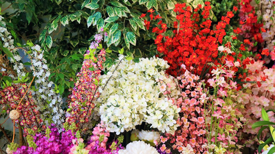 Un empresario regala todas las flores de su comercio en Coslada